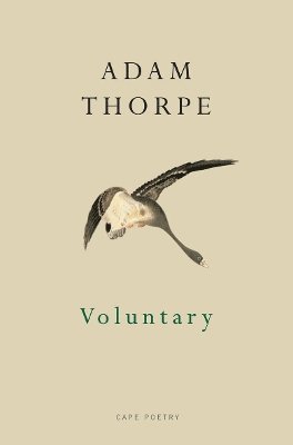 Adam Thorpe - Voluntary, Häftad