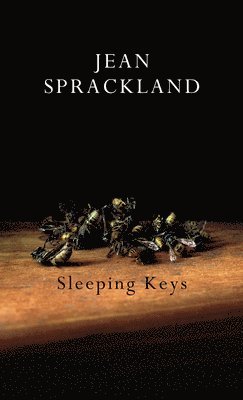 Jean Sprackland - Sleeping Keys, Häftad