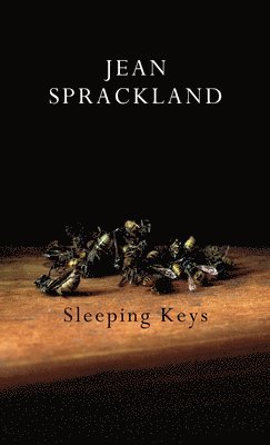 bokomslag Sleeping Keys
