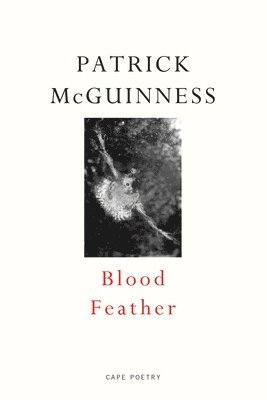 Patrick McGuinness - Blood Feather, Häftad