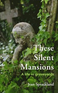bokomslag These Silent Mansions
