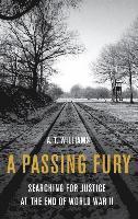 bokomslag A Passing Fury: Searching for Justice at the End of World War II