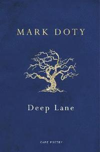 bokomslag Deep Lane