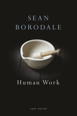 bokomslag Human Work