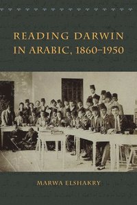 bokomslag Reading Darwin in Arabic, 1860-1950