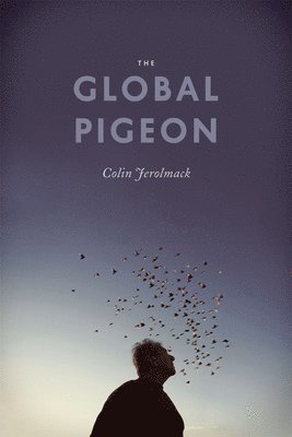 Colin Jerolmack - Global Pigeon, Häftad