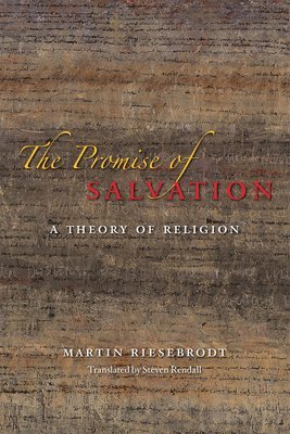 bokomslag The Promise of Salvation  A Theory of Religion
