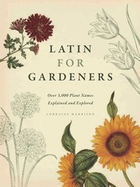 bokomslag Latin for Gardeners: Over 3,000 Plant Names Explained and Explored