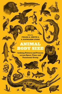 bokomslag Animal Body Size