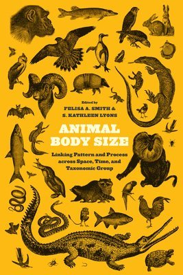 Felisa A. Smith, S. Kathleen Lyons - Animal Body Size, Inbunden