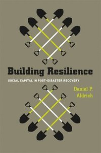 bokomslag Building Resilience  Social Capital in PostDisaster Recovery