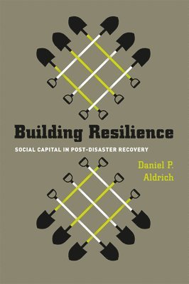 Building Resilience  Social Capital in PostDisaster Recovery 1