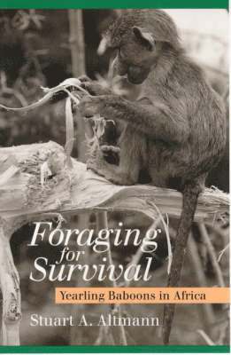 Foraging for Survival 1