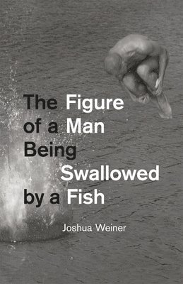 Joshua Weiner - Figure of a Man Being Swallowed by a Fish, Häftad
