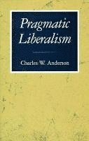 bokomslag Pragmatic Liberalism