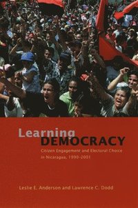 bokomslag Learning Democracy