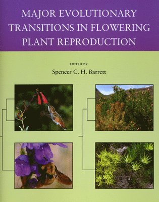 Spencer C. H. Barrett - Major Evolutionary Transitions in Flowering Plant Reproduction, Häftad