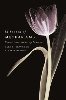 In Search of Mechanisms 1
