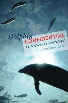 Dolphin Confidential 1