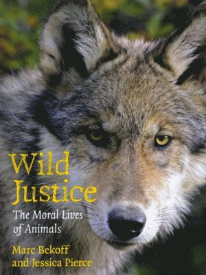 Wild Justice 1