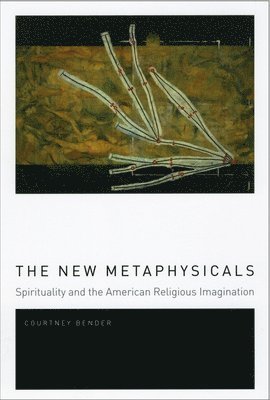 bokomslag New Metaphysicals