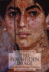 bokomslag Forbidden Image - An Intellectual History of Iconoclasm