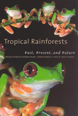 Eldredge Bermingham, Christopher W. Dick, Craig Moritz - Tropical Rainforests, Inbunden