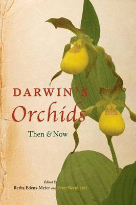 Darwin's Orchids 1