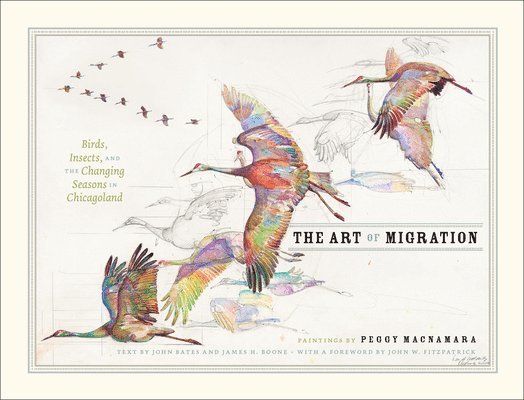 Art of Migration, Inbunden