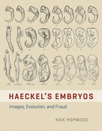 bokomslag HAECKEL'S EMBRYOS - IMAGES, EVOLUTION, AND FRAUD