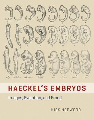 bokomslag HAECKEL'S EMBRYOS - IMAGES, EVOLUTION, AND FRAUD