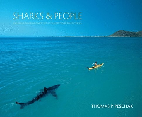 Sharks and People 1