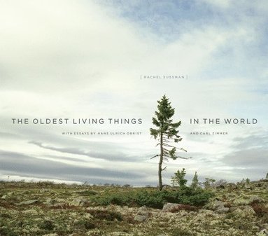 bokomslag The Oldest Living Things in the World