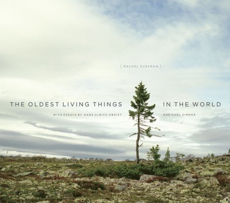 The Oldest Living Things in the World 1