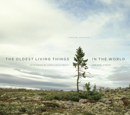 Rachel Sussman - Oldest Living Things in the World, Inbunden