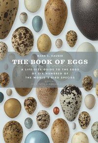 bokomslag Book Of Eggs