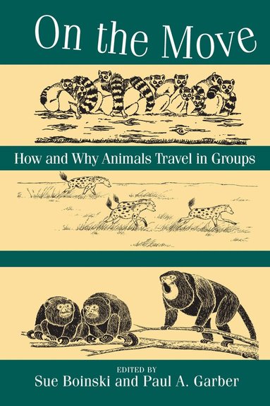 Sue Boinski, Paul A. Garber, Sue Boinski, Paul A. Garber - On the Move – How and Why Animals Travel in Groups, Häftad