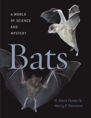 M. Brock Fenton, Nancy B. Simmons - Bats, Inbunden