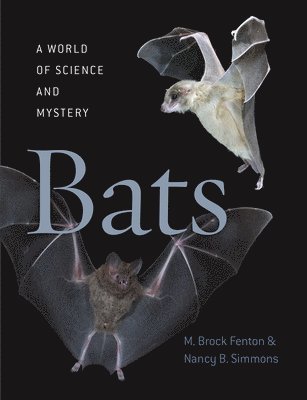 bokomslag Bats