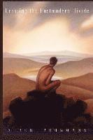 Albert Borgmann - Crossing the Postmodern Divide, Häftad