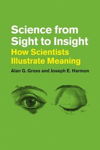 bokomslag Science from Sight to Insight