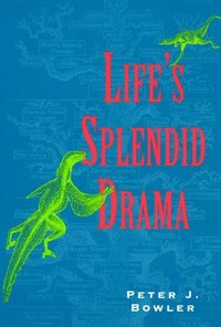 bokomslag Life's Splendid Drama