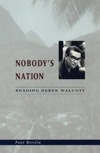 bokomslag Nobody's Nation