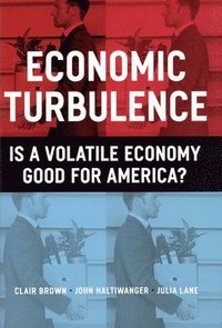 bokomslag Economic Turbulence
