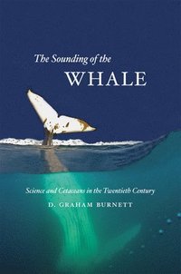 bokomslag Sounding of the Whale