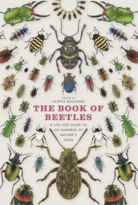 bokomslag The Book of Beetles