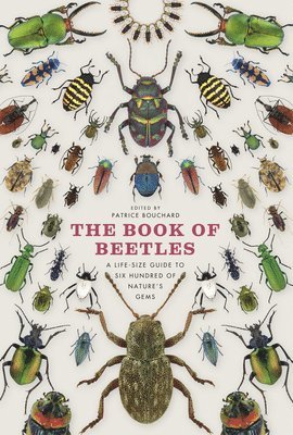 bokomslag The Book of Beetles