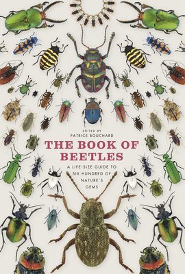 bokomslag The Book of Beetles: A Life-Size Guide to Six Hundred of Nature's Gems