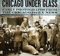 bokomslag Chicago under Glass