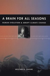 bokomslag A Brain for All Seasons
